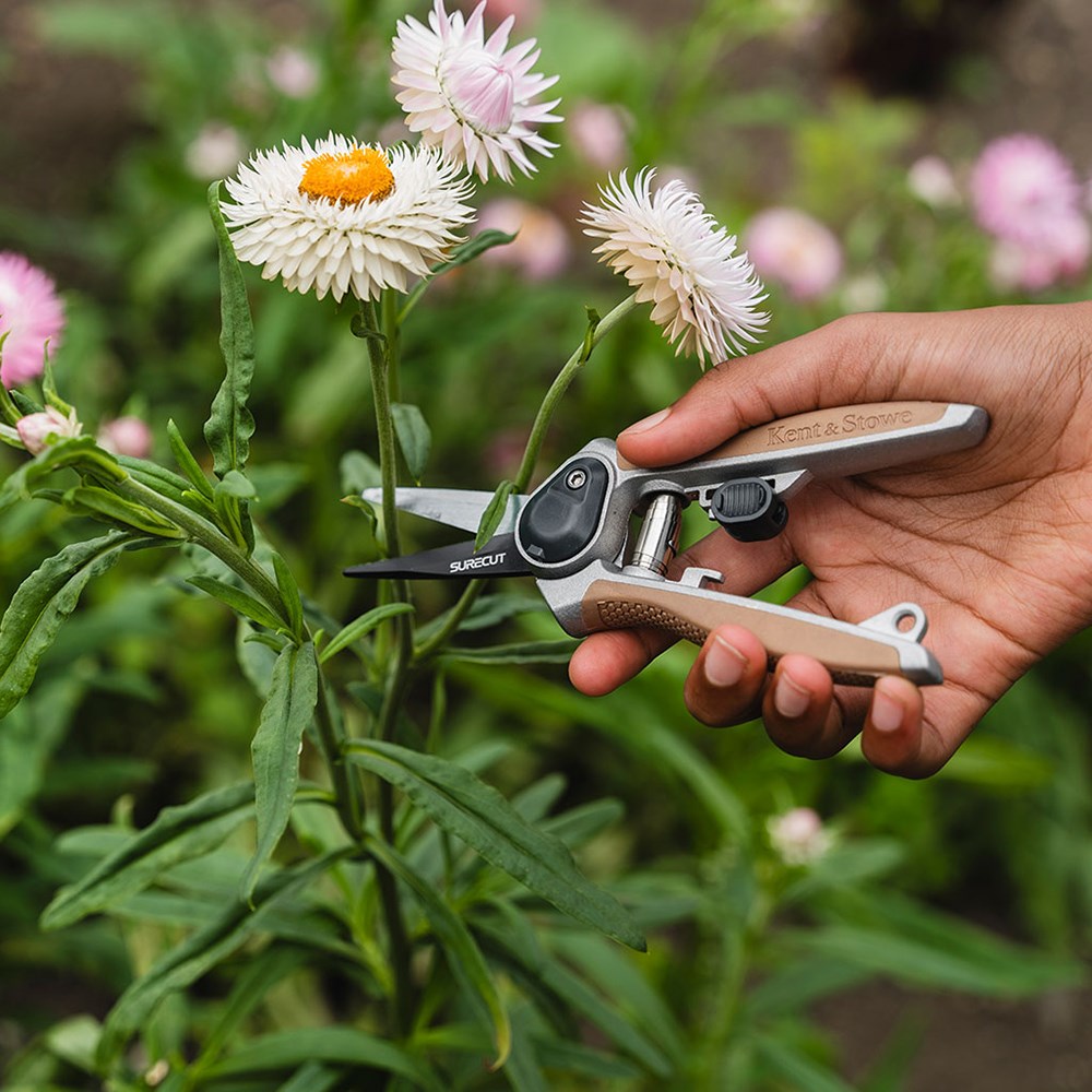 Kent & Stowe Garden Life Snips