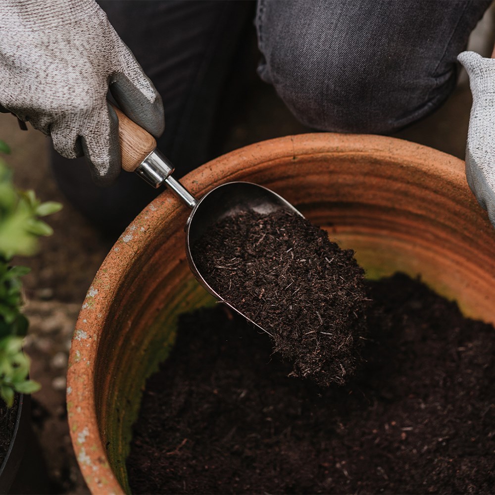 Kent & Stowe Potting Compost Scoop