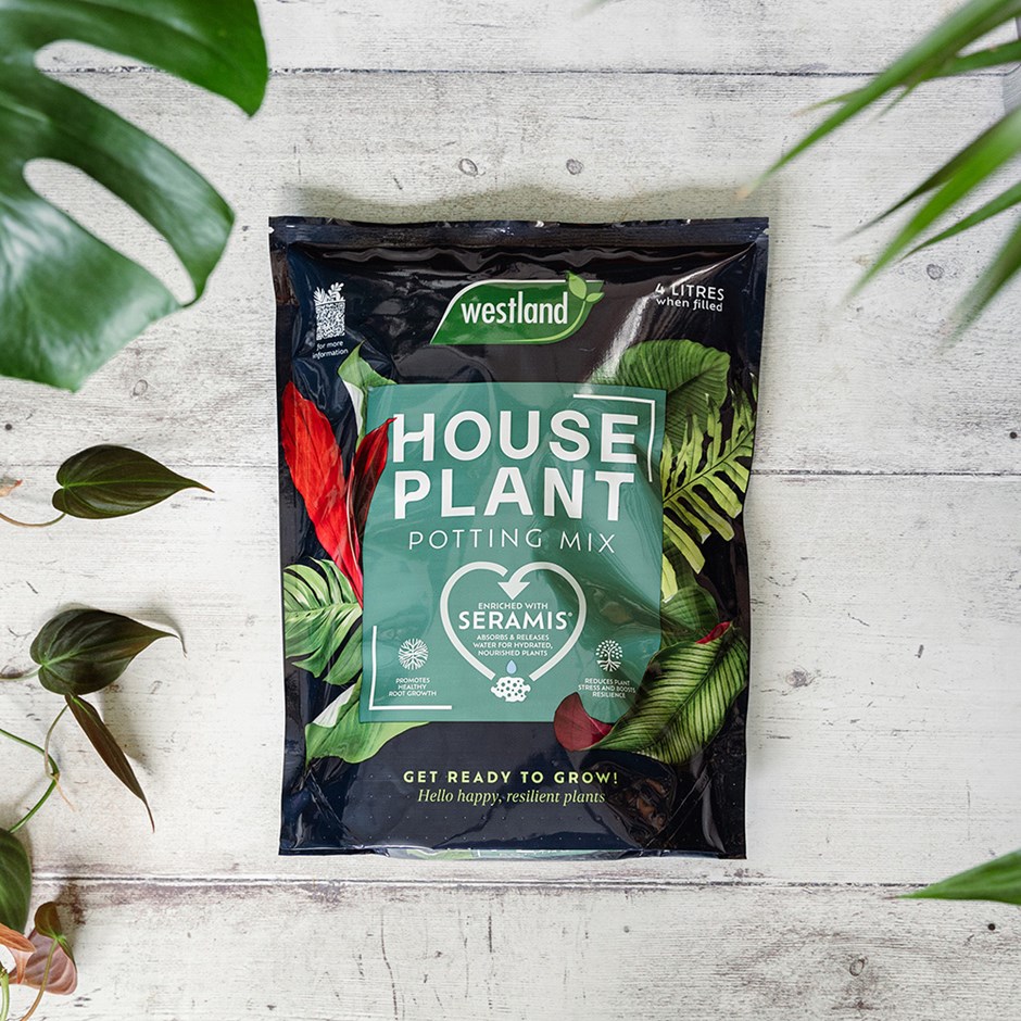 House Plant Potting Mix