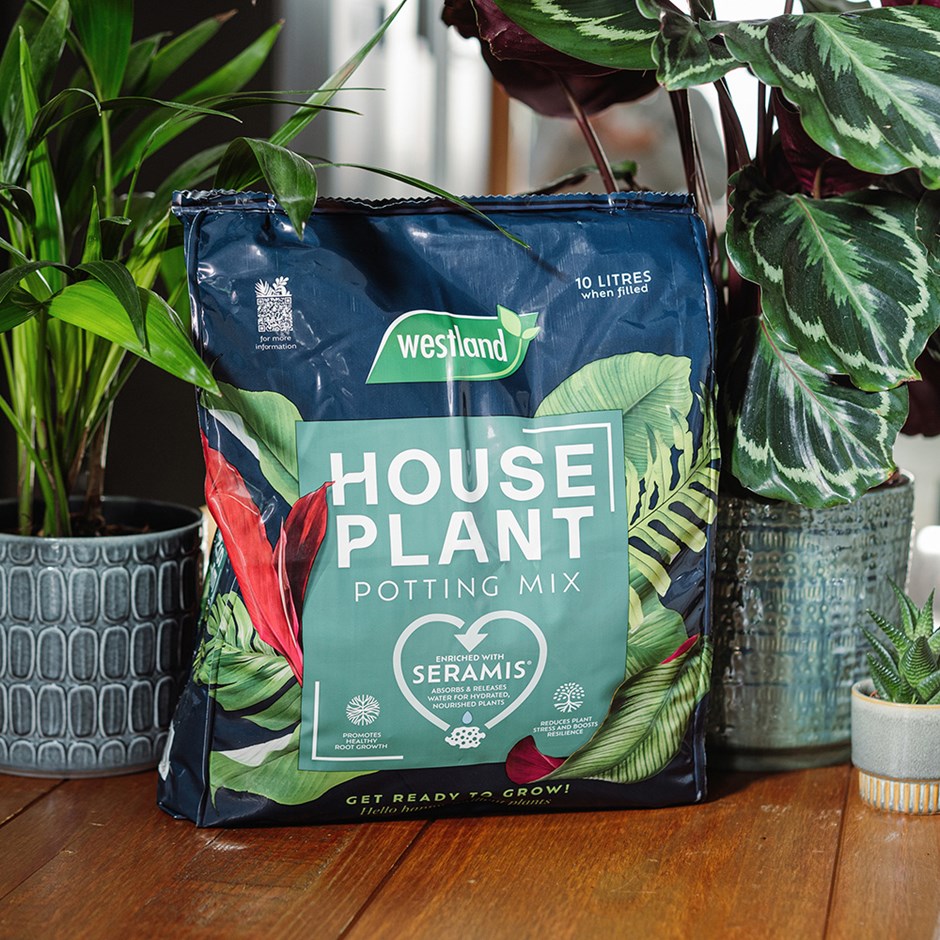 House Plant Potting Mix