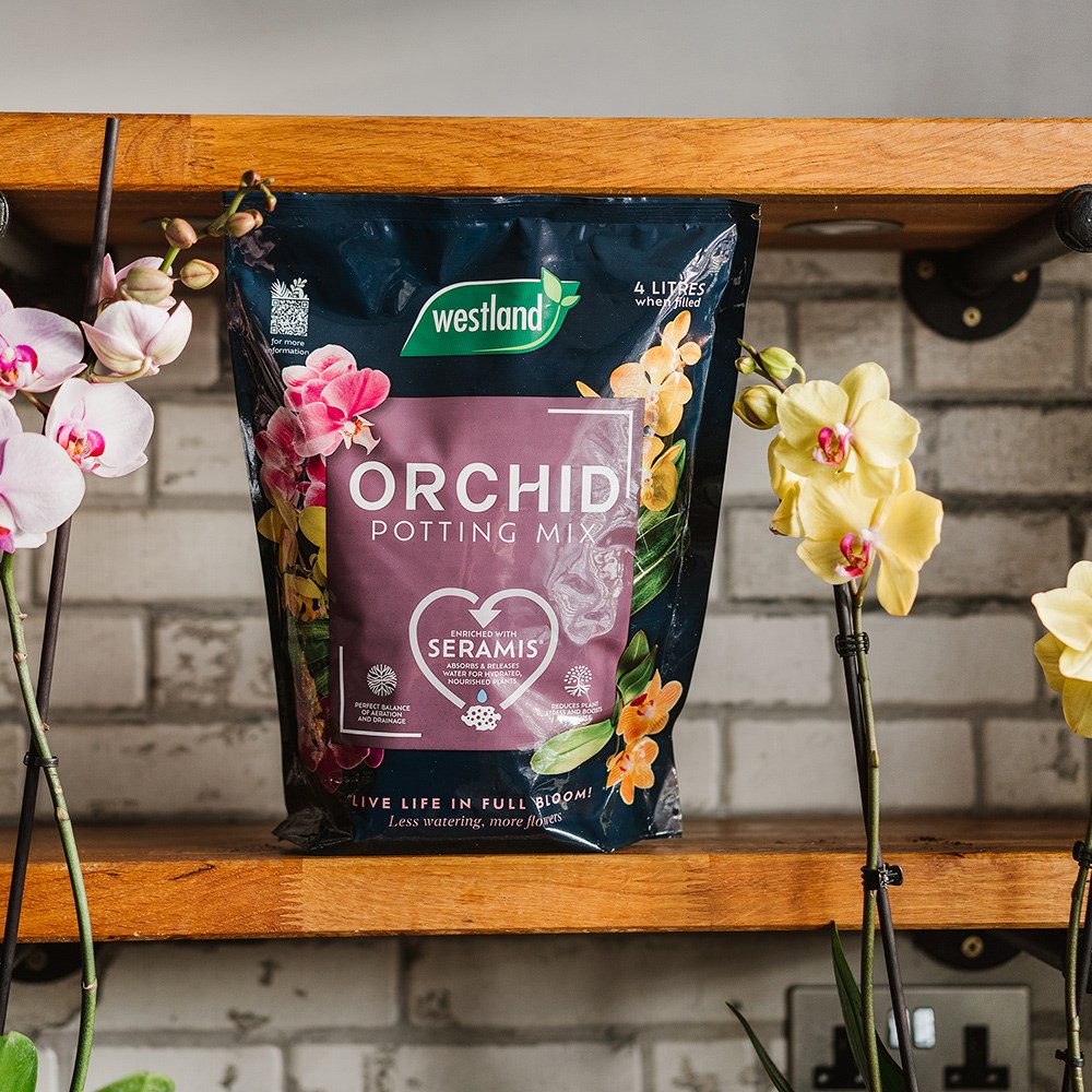 Orchid Potting Mix