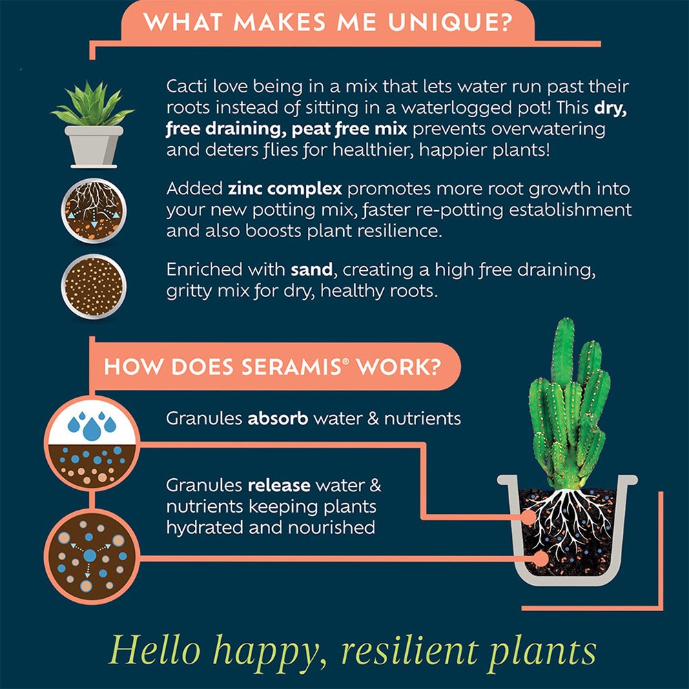 Cactus & Succulent Focus Repotting Mix