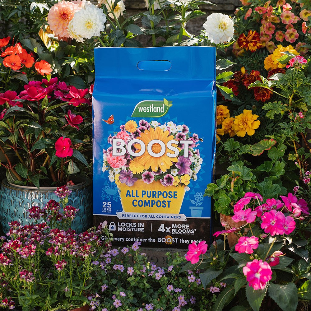 Boost All Purpose Compost