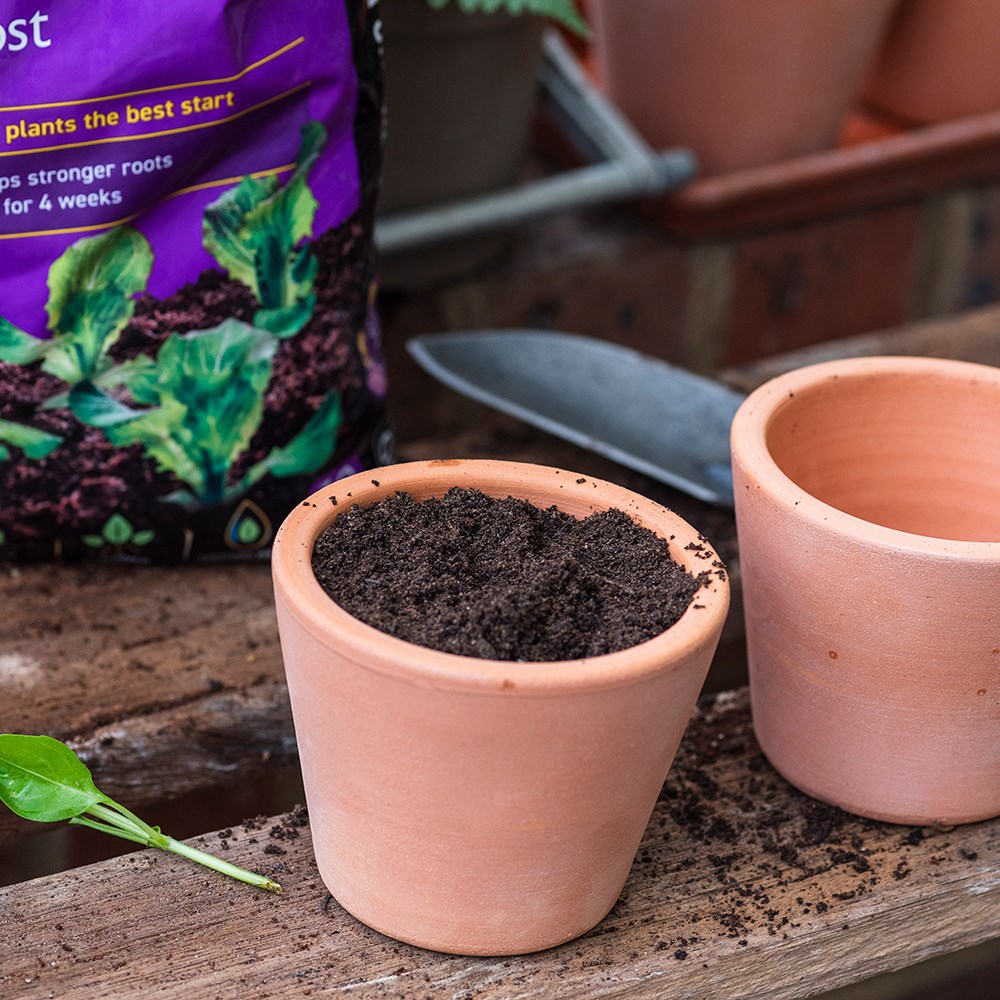 John Innes No.1 Young Plant Compost