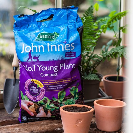 Peat-free young plant compost with John Innes no.1
