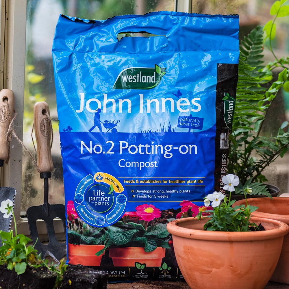John Innes No.2 Potting-On Compost