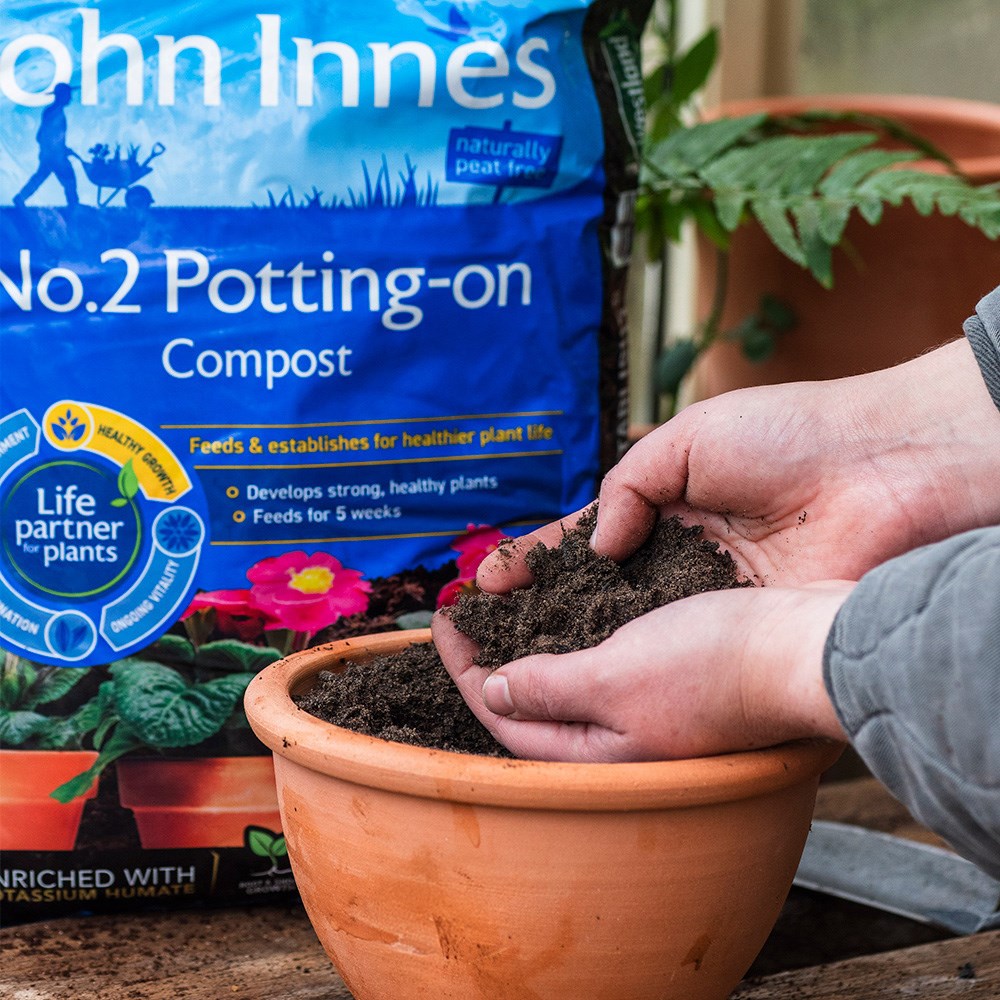 John Innes No.2 Potting-On Compost