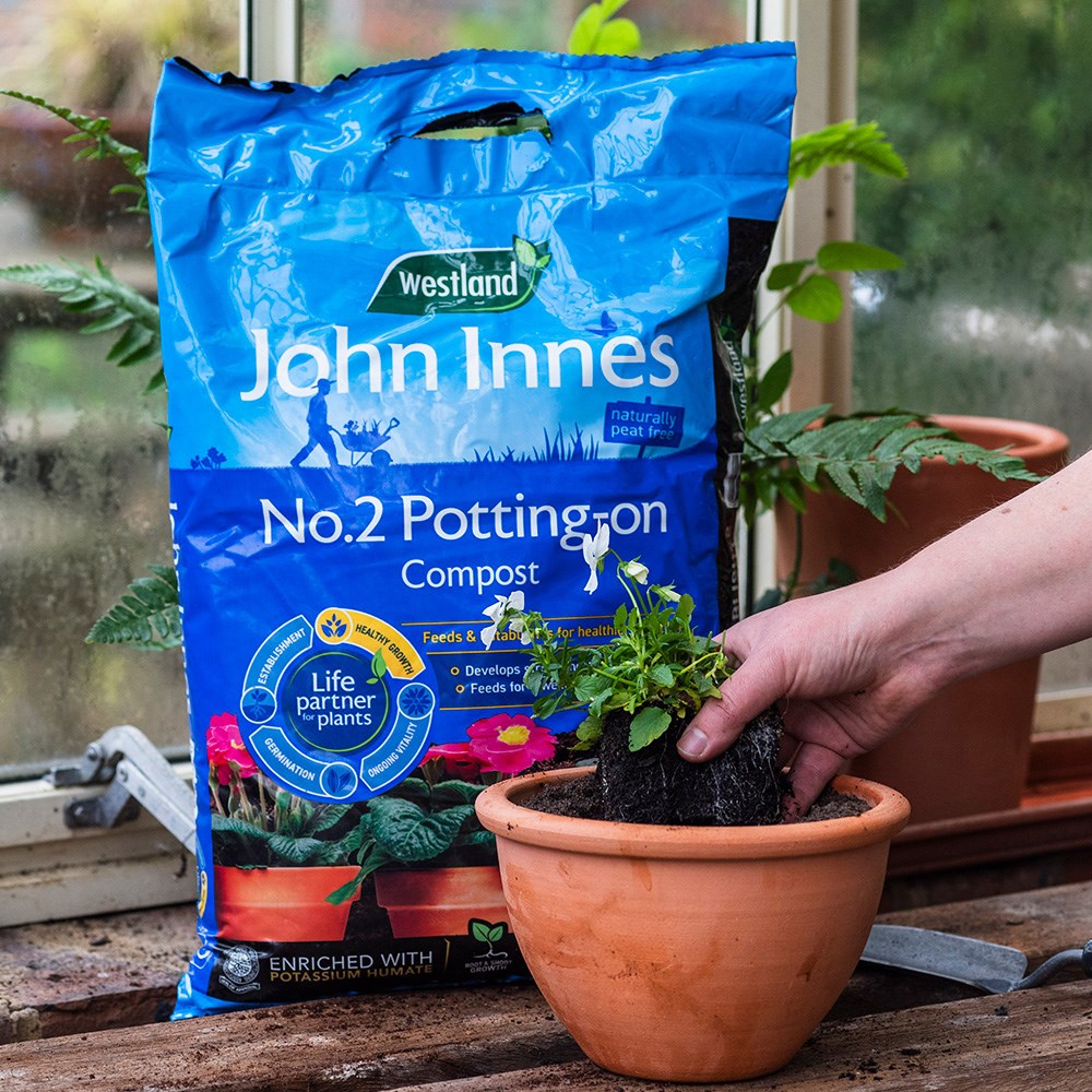 John Innes No.2 Potting-On Compost
