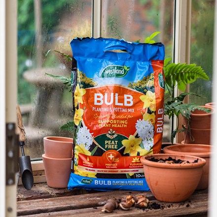 Peat-free bulb planting compost