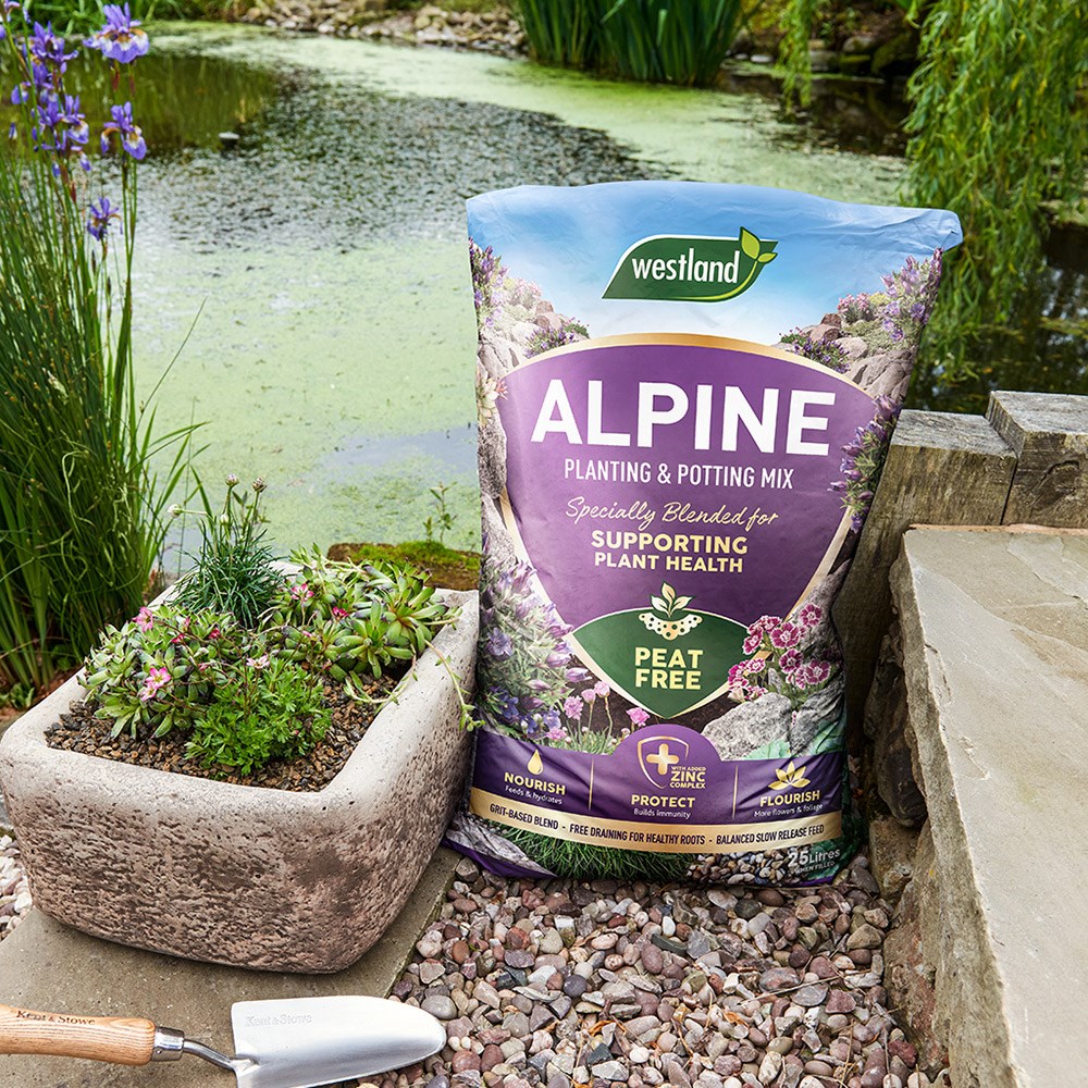 Alpine Planting & Potting Mix