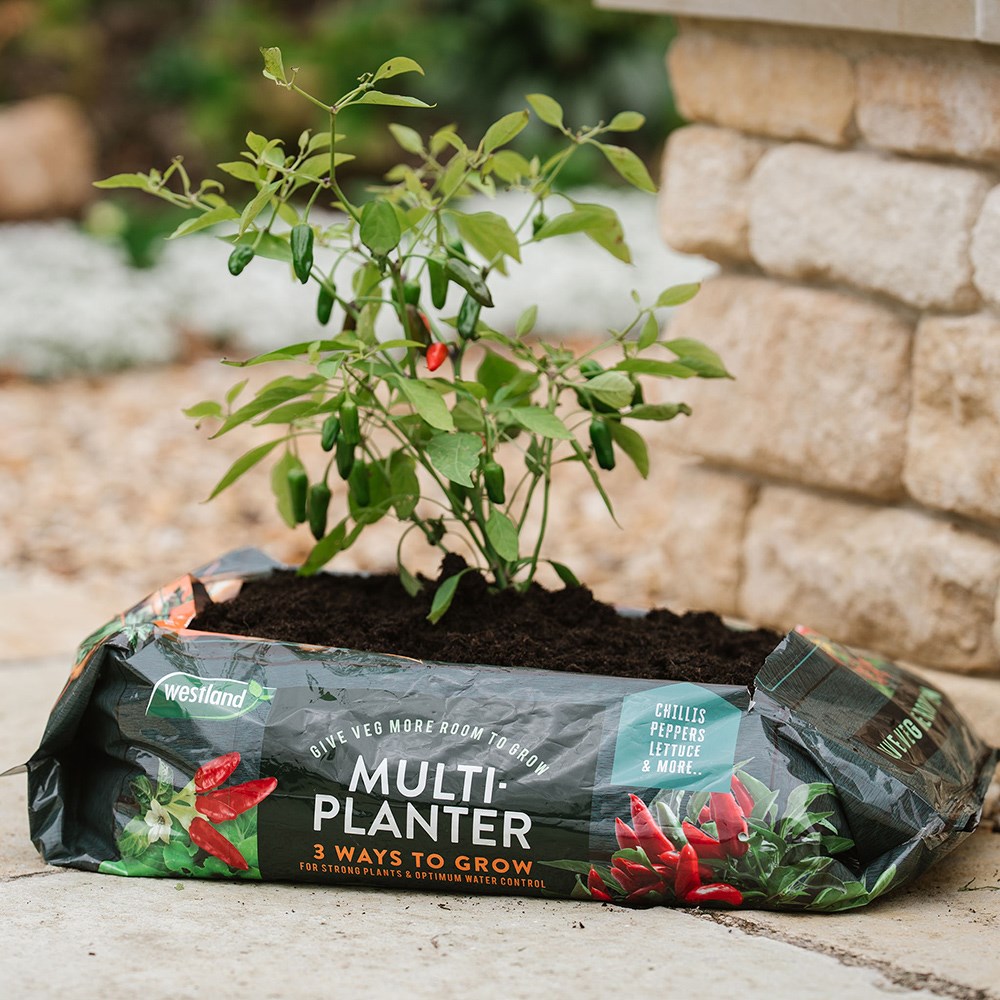 Multi-Planter Grow Bag