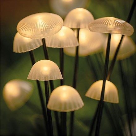Woodland Mushroom Garden Lights | 3 Pack | 15 Warm White LEDs