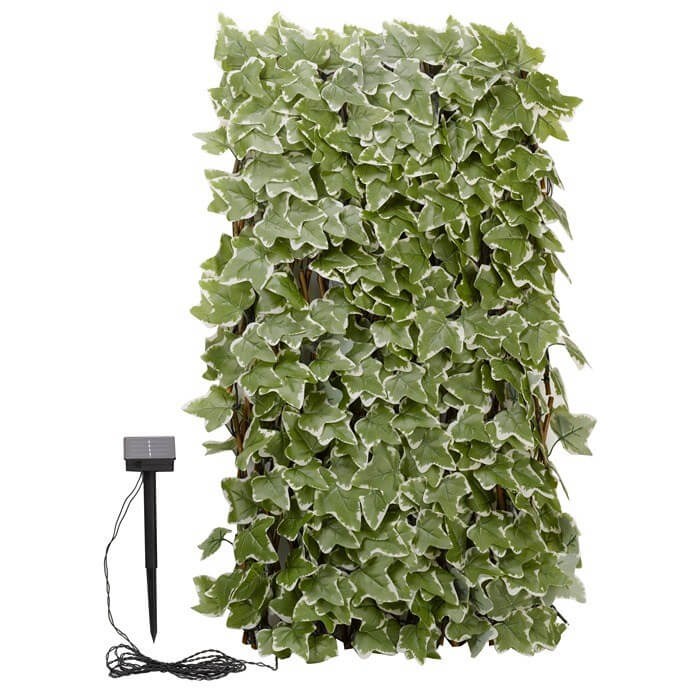 Buy Ivy Artificial Hedge Trellis Screen w/ 75 Solar LED Lights Smart Garden Delivery by Primrose