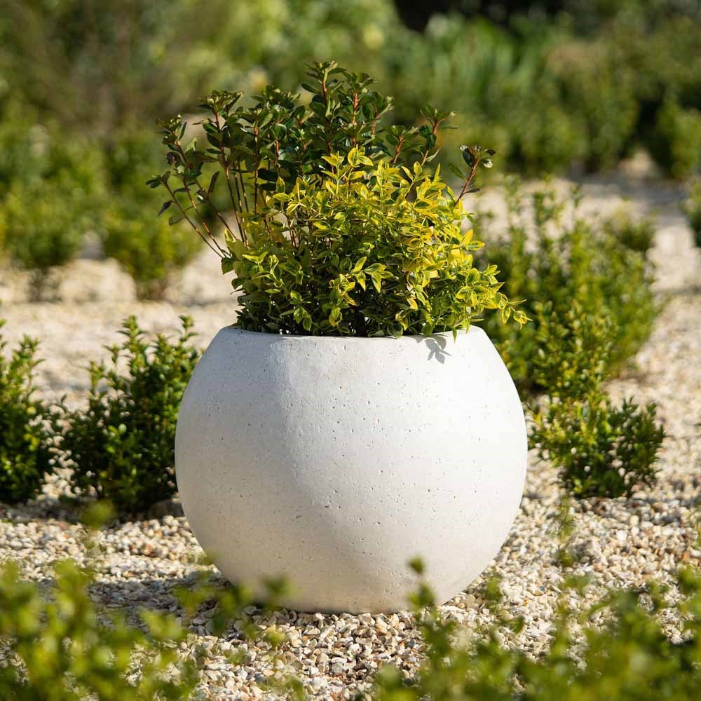 Buy 32cm Fiberstone Sphere Planter in White Delivery by Primrose