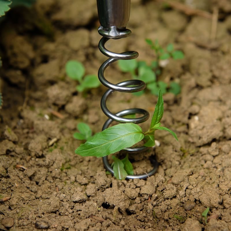 Buy 38cm Stainless Steel Hand Corkscrew Weeder by Kent & Stowe